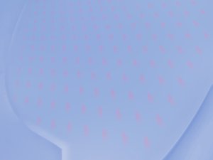 财务指标排行榜：现金储备最多的公司指标